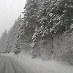Haus Seasons Winterberg