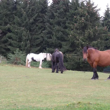 Seasons Winterberg
