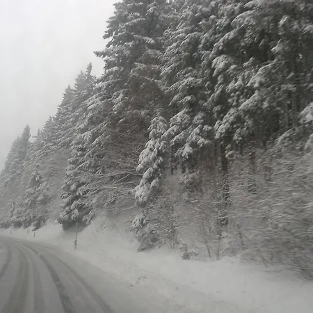 Haus Astenalm - Seasons Winterberg