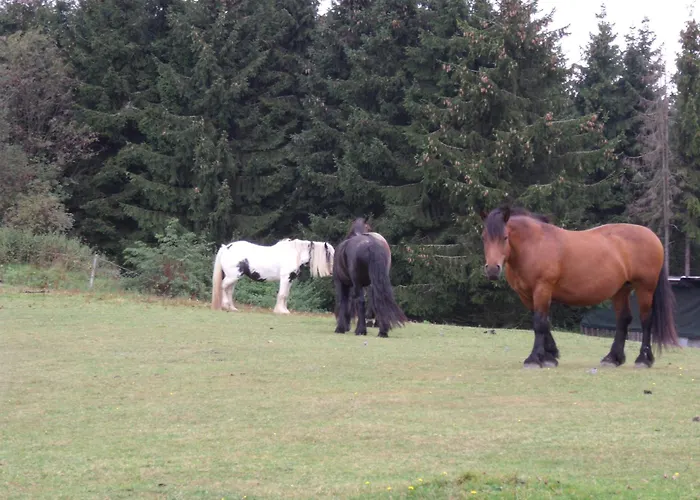 Haus Seasons Winterberg