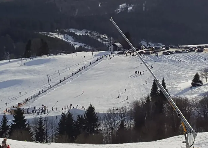 Haus Seasons Gæstehus Winterberg