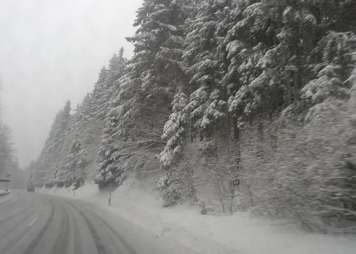 Haus Seasons Winterberg